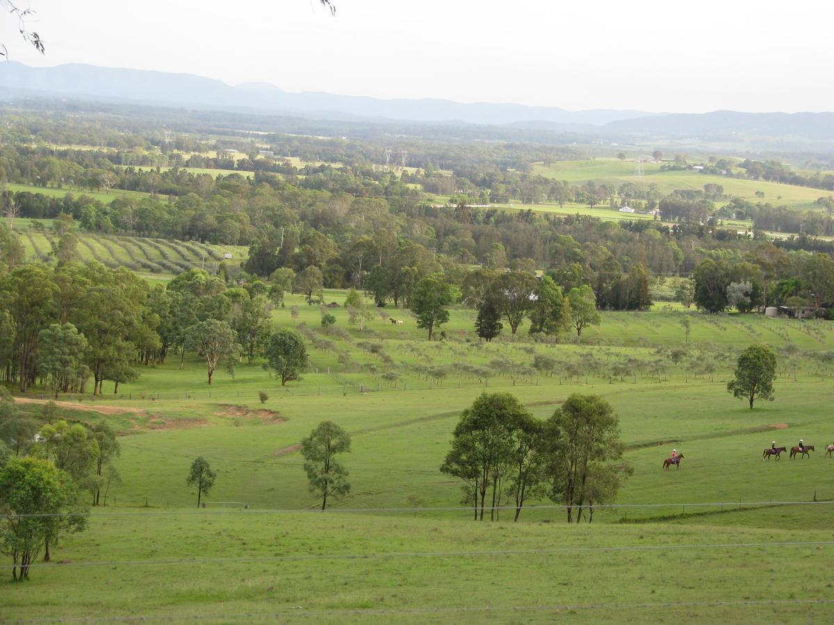 Hill Top Country Guest House Lovedale Eksteriør bilde