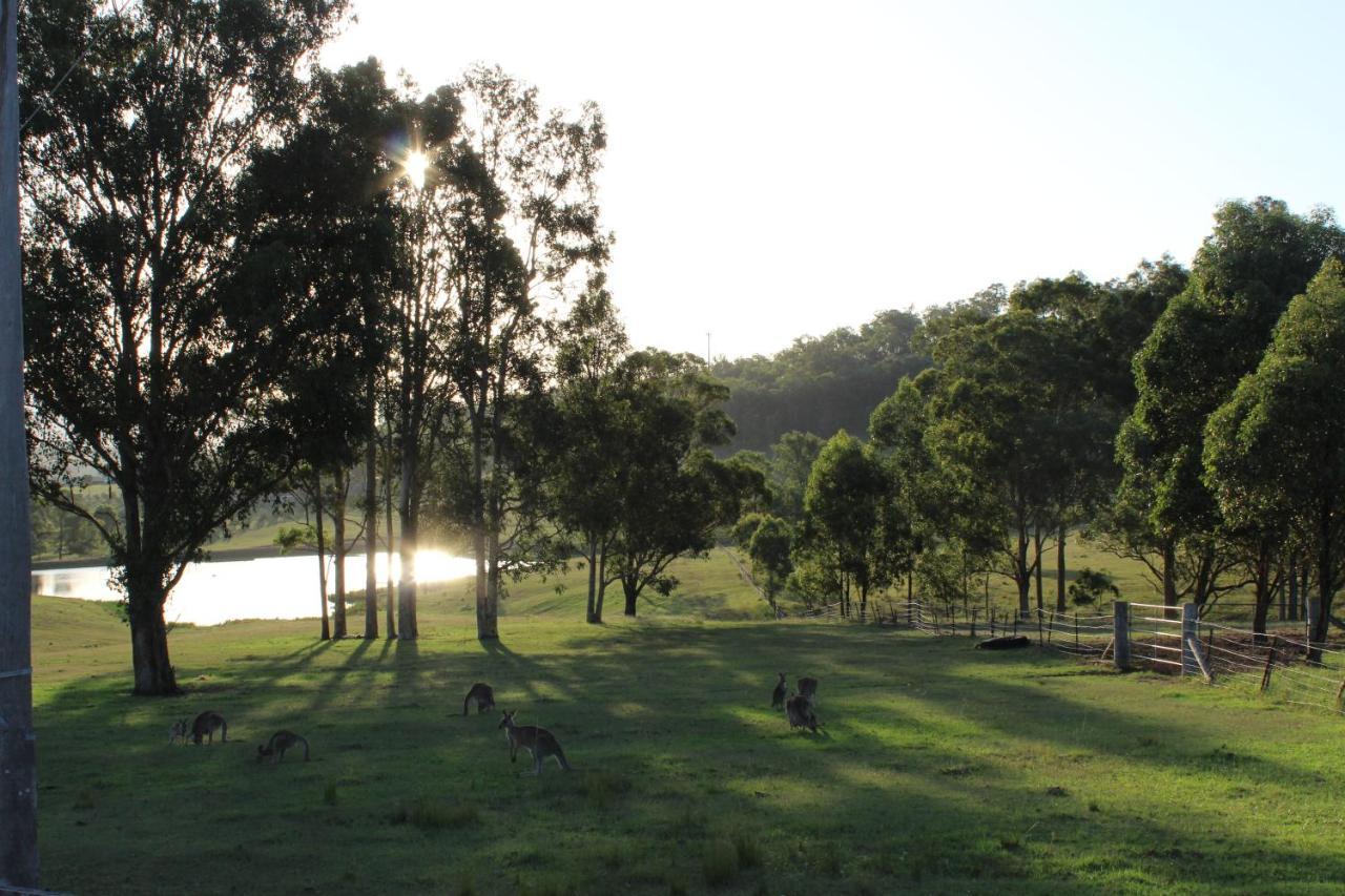 Hill Top Country Guest House Lovedale Eksteriør bilde