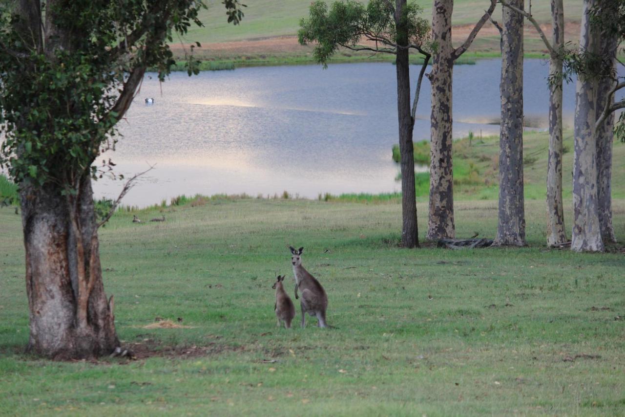 Hill Top Country Guest House Lovedale Eksteriør bilde